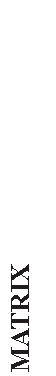 Text Box: MATRIX 