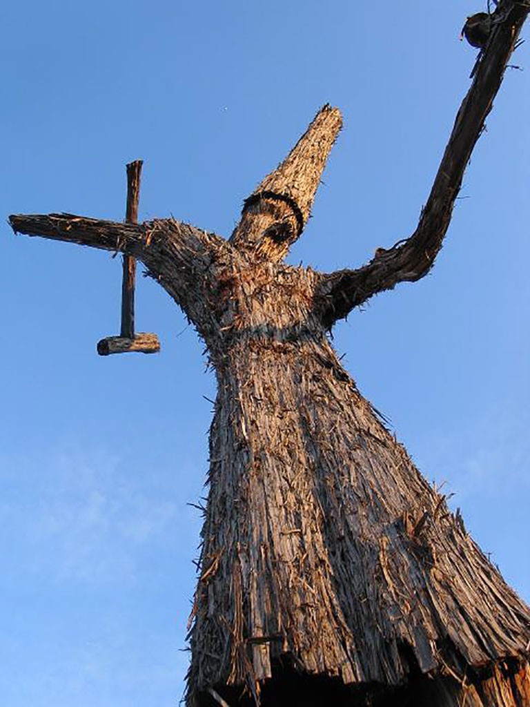 Cedar Man by George Sabra